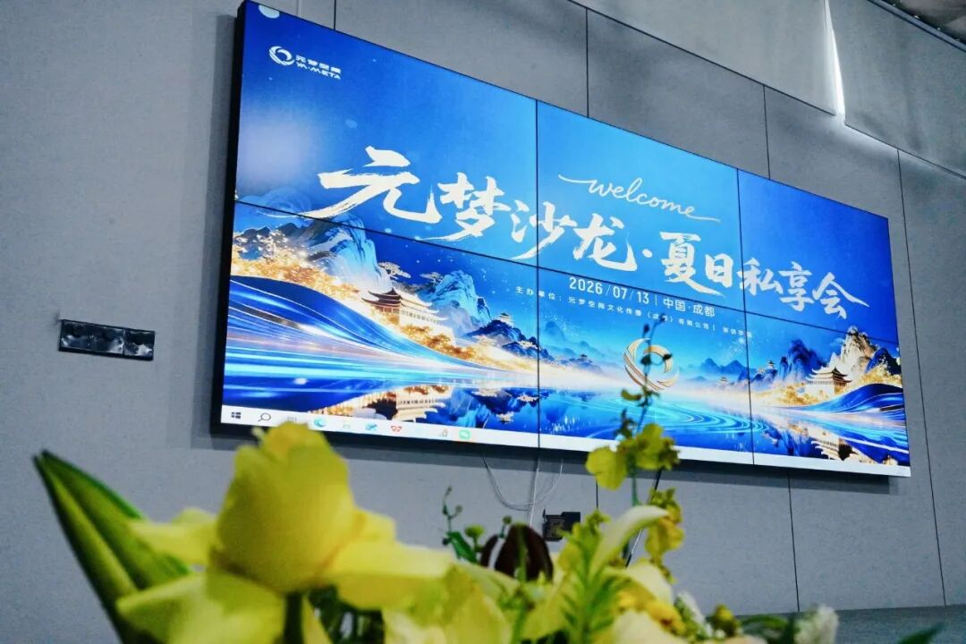 在元梦，收藏下一个时代！2026元宇宙与数字经济夏日私享会圆满落幕